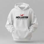 Hollister- Winter Regular Fit Hoodie
