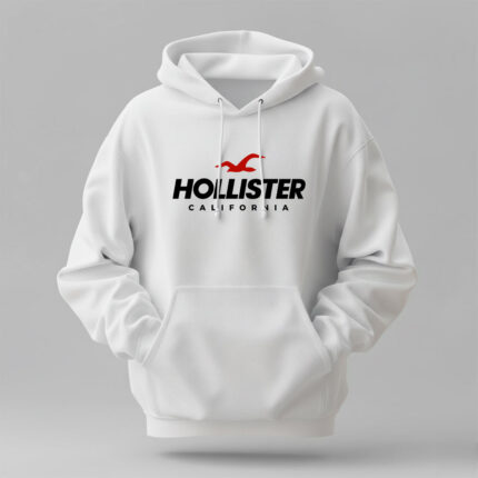 Hollister- Winter Regular Fit Hoodie