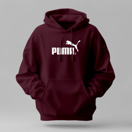 PUMA - Winter Regular Fit Hoodie